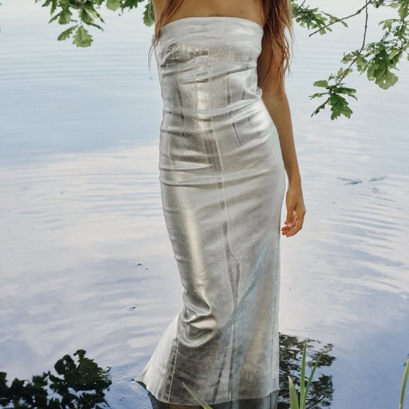 NWT Zara Silver Strapless Midi Dress - Picture 8 of 14